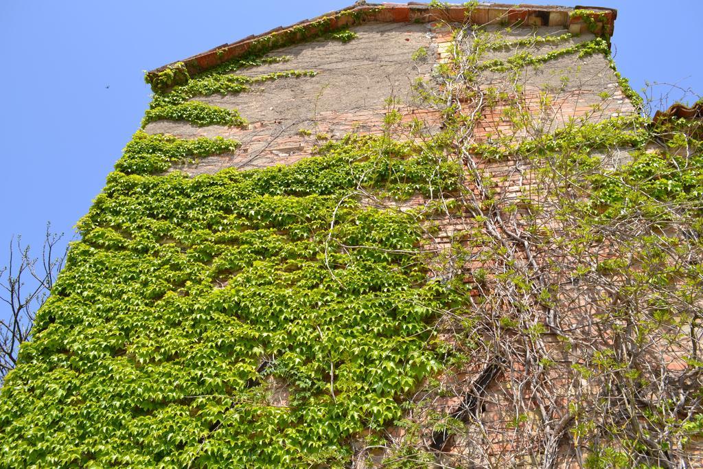 Agriturismo Nestore Exterior photo